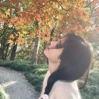 秋日漫步，邂逅最美风景，享受自然之美。秋日风景照秋日风光随手拍秋日公园美景