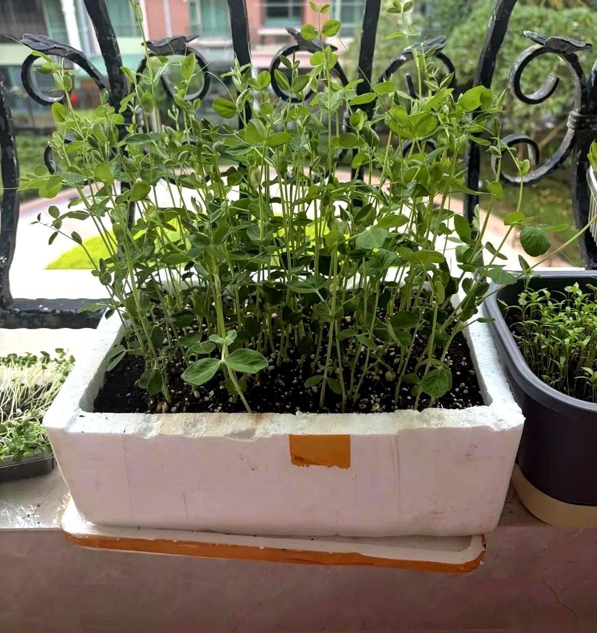 十三岁的继女进门让我滚，我直接扇了她两巴掌。坐沙发上看电视的亲爹一声没吭，转头