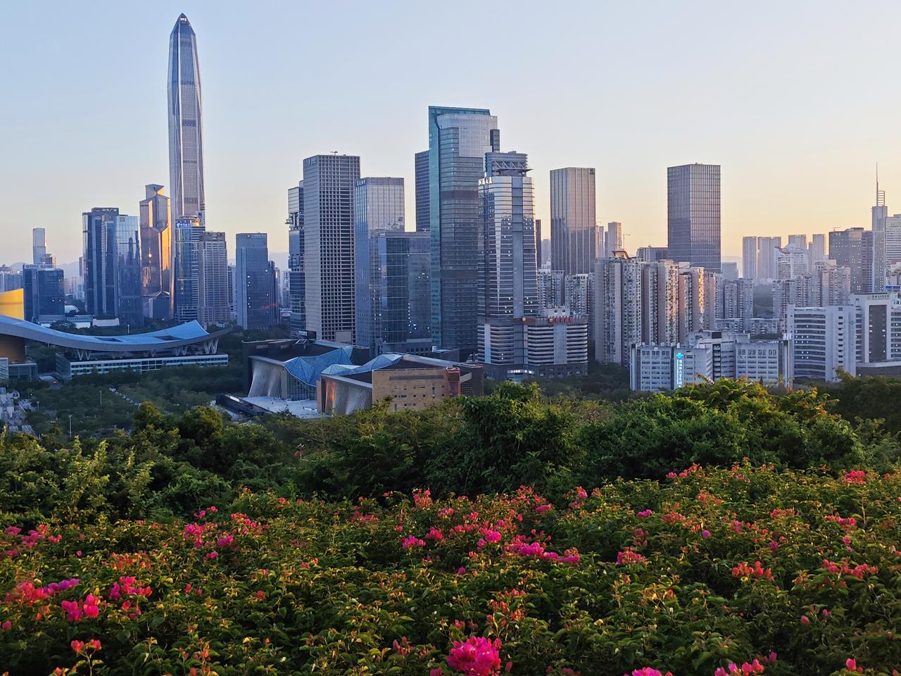 深圳福田CBD是一线大城市当中面积最小的CBD，但经济实力惊人！税收过亿的楼宇