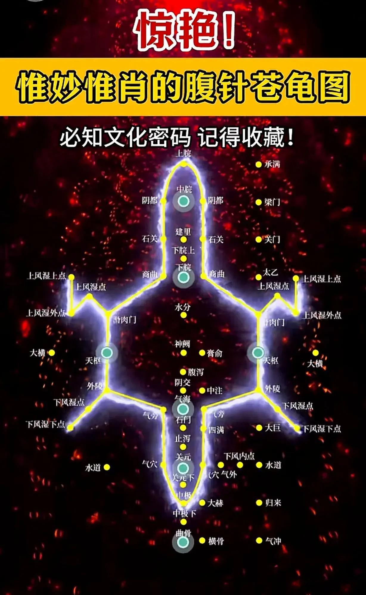 中医腹部这个苍龟图惊艳绝伦，让我首先想起的是曹操icon的名诗神龟虽寿，犹有竟时