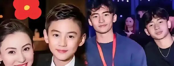 以前大家都盯着张柏芝小儿子的生父到底是谁，结果这孩子最近露了脸，直接把大家的嘴给