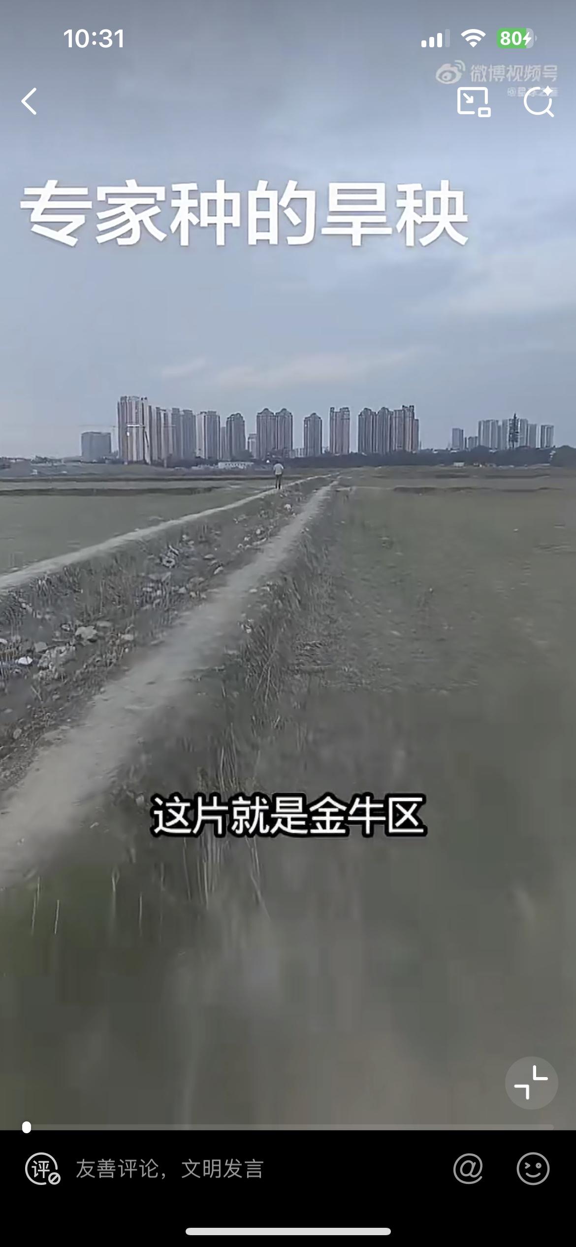 一网友曝光四川某地郊区，高标准农田种的旱秧，他感慨太浪费资源了。连片的几百亩田不