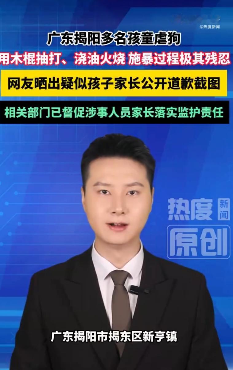 残忍！广东揭阳，几名未成年孩子围殴流浪狗，先用木棍抽打母狗，又用棍棒戳刺刚出生的