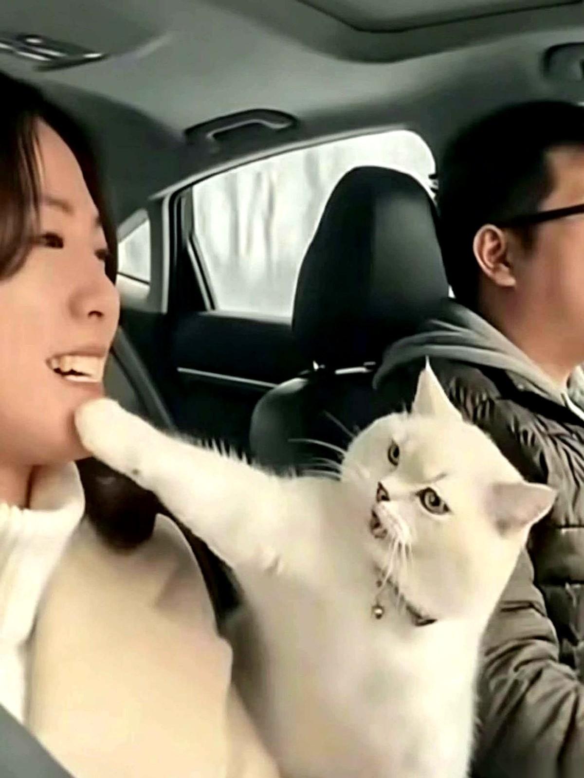 网上流传着一段行车监控视角的视频。江浙开往河南周口的高速上，因为男司机错过了一个