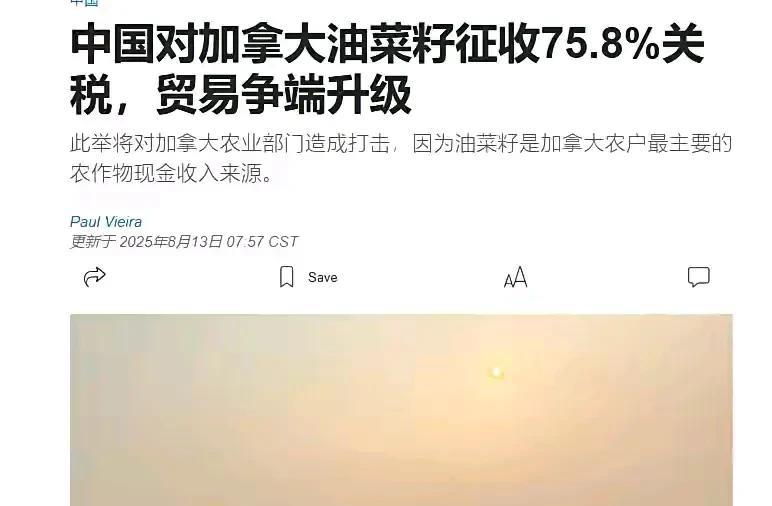 鹰酱拿印度开刀，东大拿加拿大开练，如此清晰的事情，可惜一帮大聪明们迄今为止不仅看