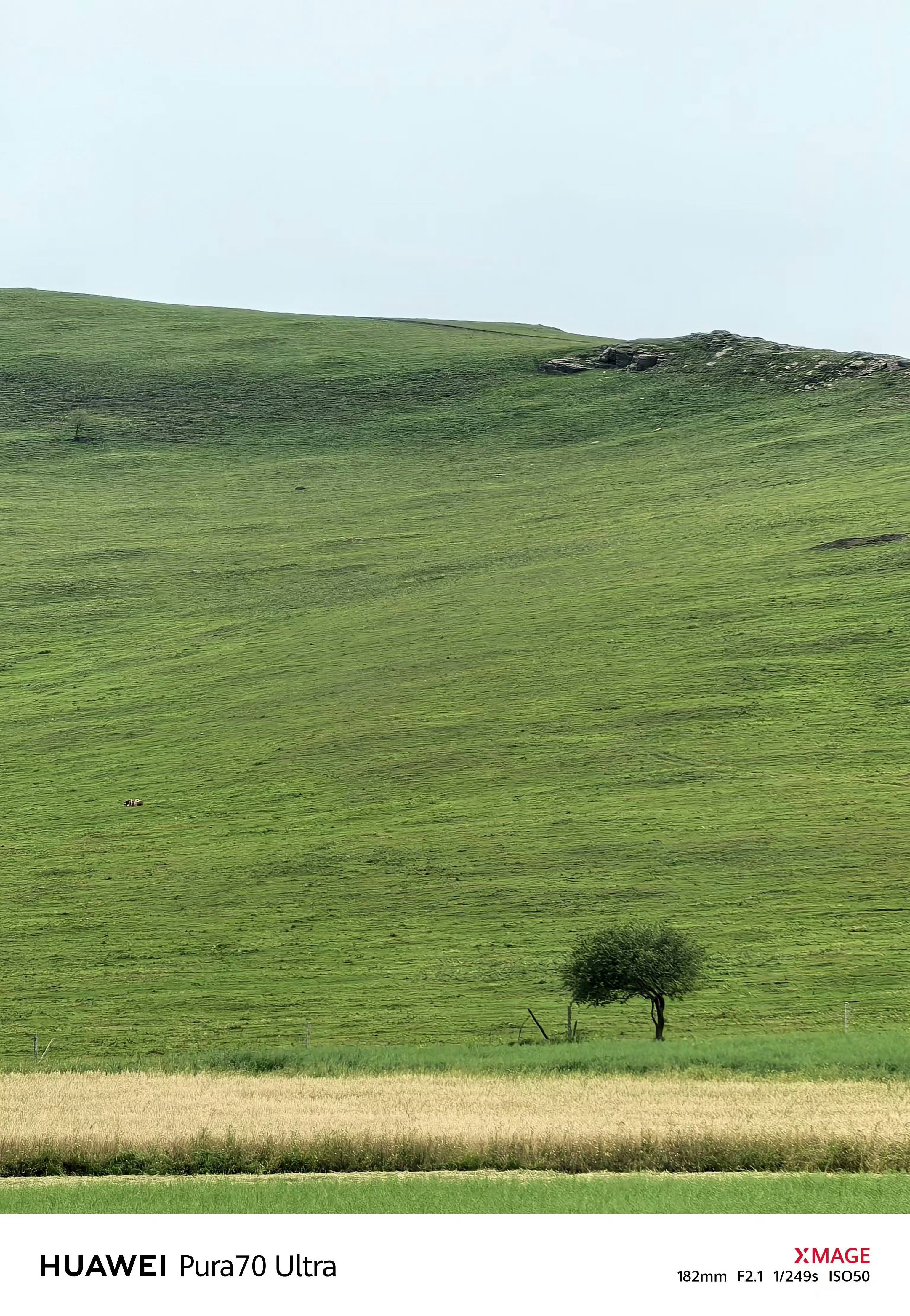 我的Pura70Ultra退役了,但Mate70Pro+还在战斗，因为又买了