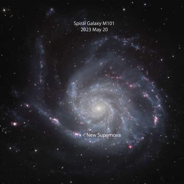在美丽的卷积星系M101中发现超新星！一颗恒星刚刚在北天最上镜的星系之一中爆炸—