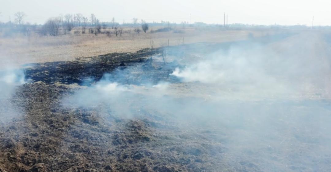 奇怪！四川一片菜地，火烧8天都不灭。后山大火四川蓬安县徐家镇菜地