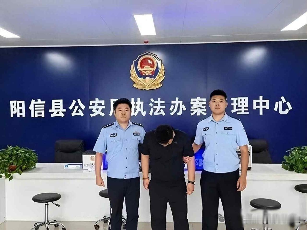 一辆车，五座城，五十万赃款：谁在为电信诈骗“跑腿”？阳信有个叫刘某的，被个冒