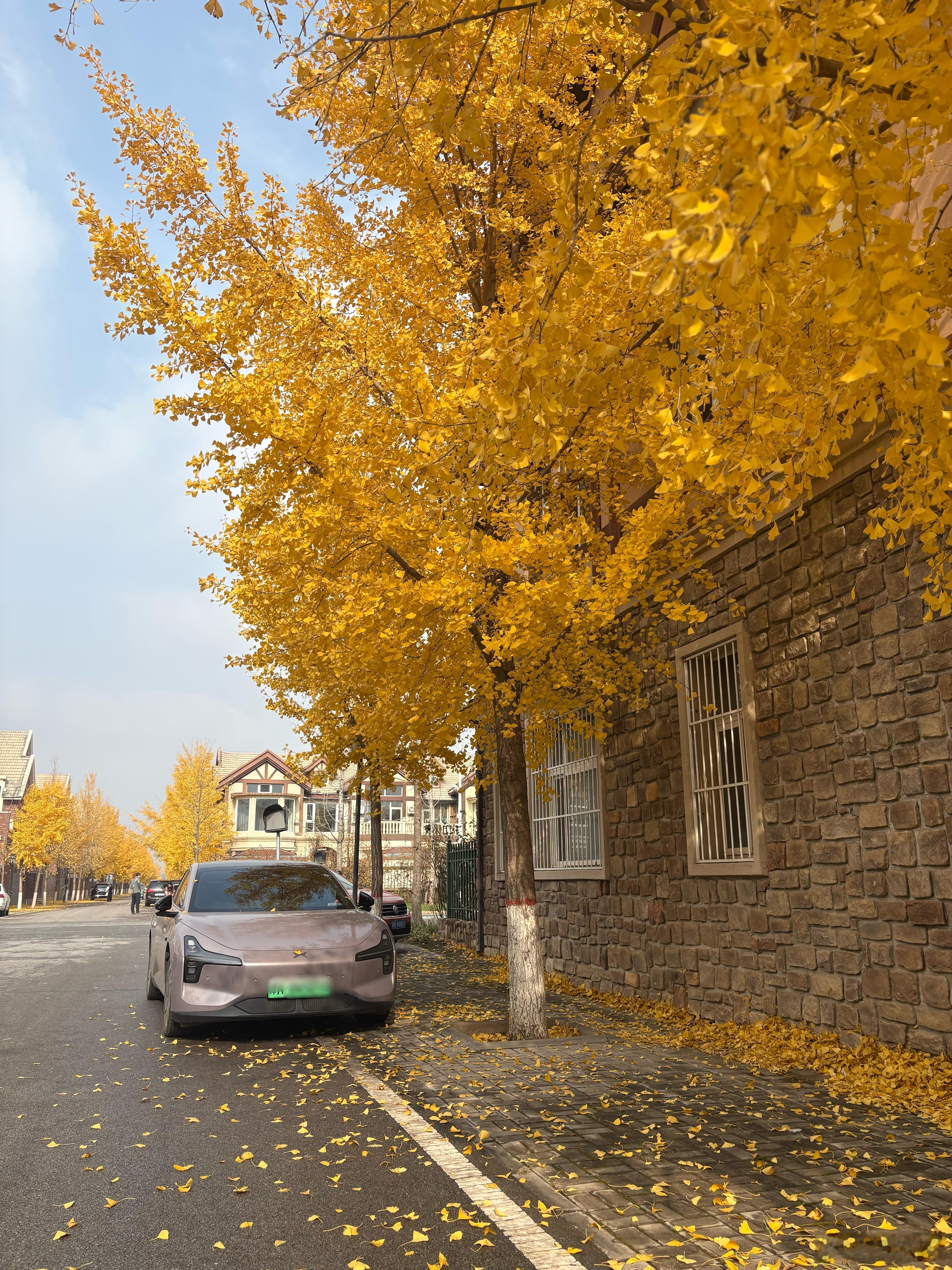 买车后你的消费降级了吗不要让买车成为自己生活的负担，所以，理性状态下不会降级。但