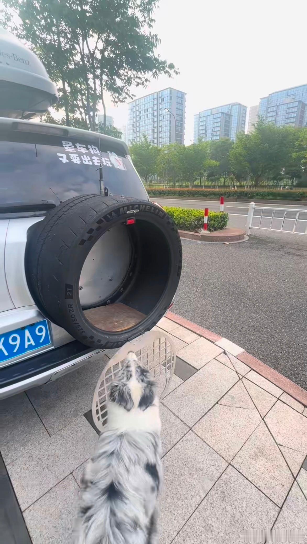 如何解决狗子晕车的问题，这或许是个好办法，就是最好别被追尾。[捂脸哭]​​​