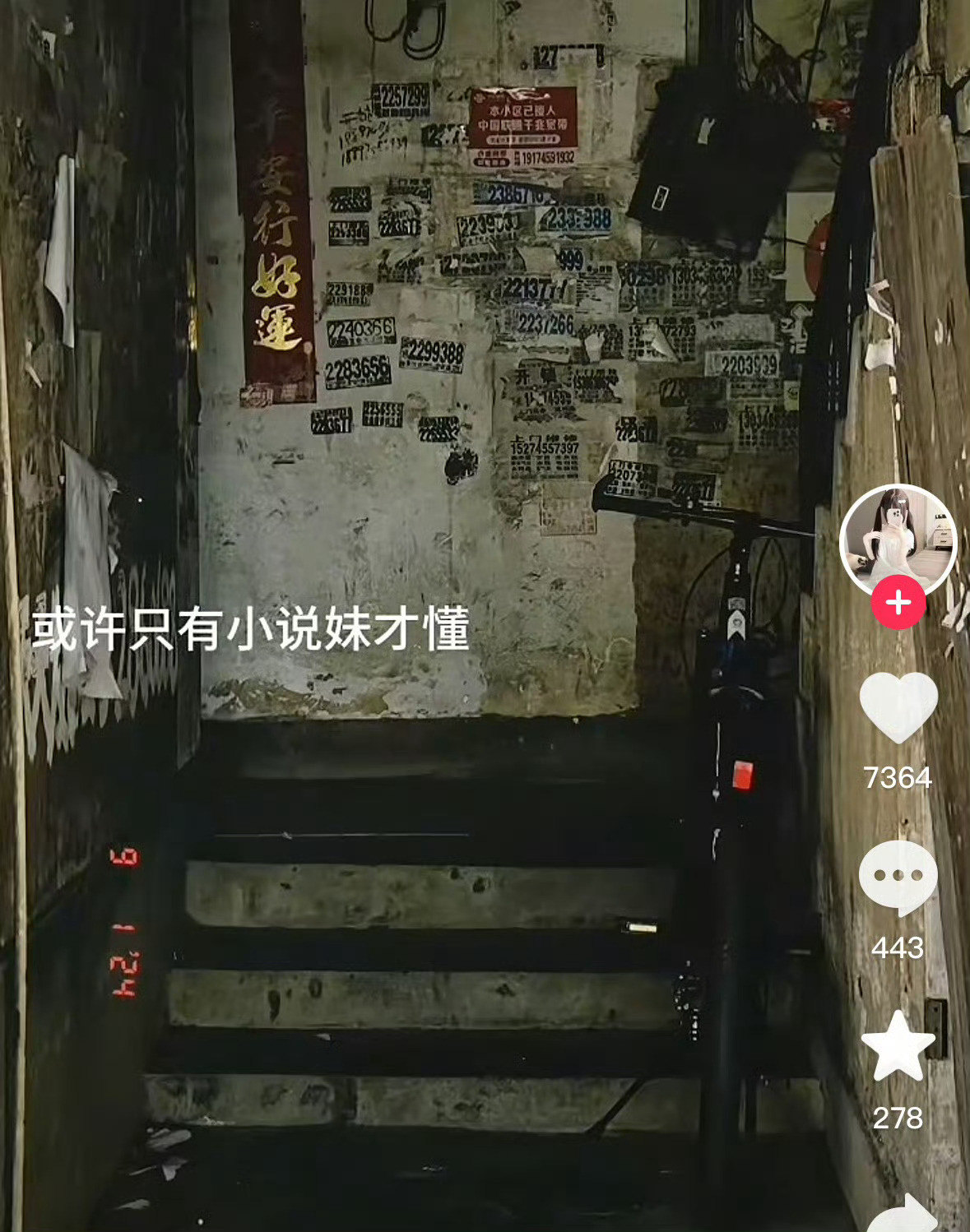 懂什么？这我家
