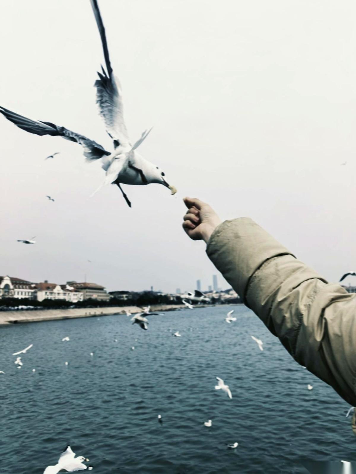 我同学那个男朋友，真的绝了。北大生物博士，省委的，家境也好。谈了三年，跟我同