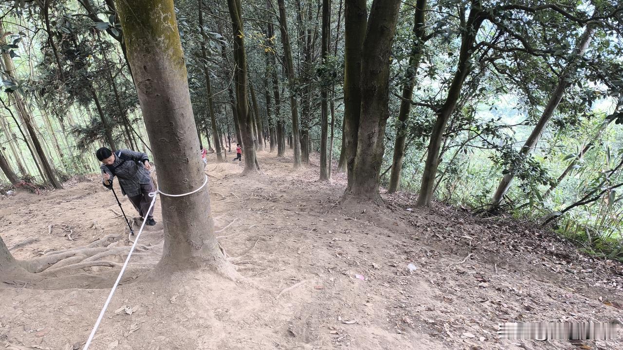 广西南宁这个徒步路线真的是太费退了，现在躺着都不想动，有多少朋友去过的？今天一