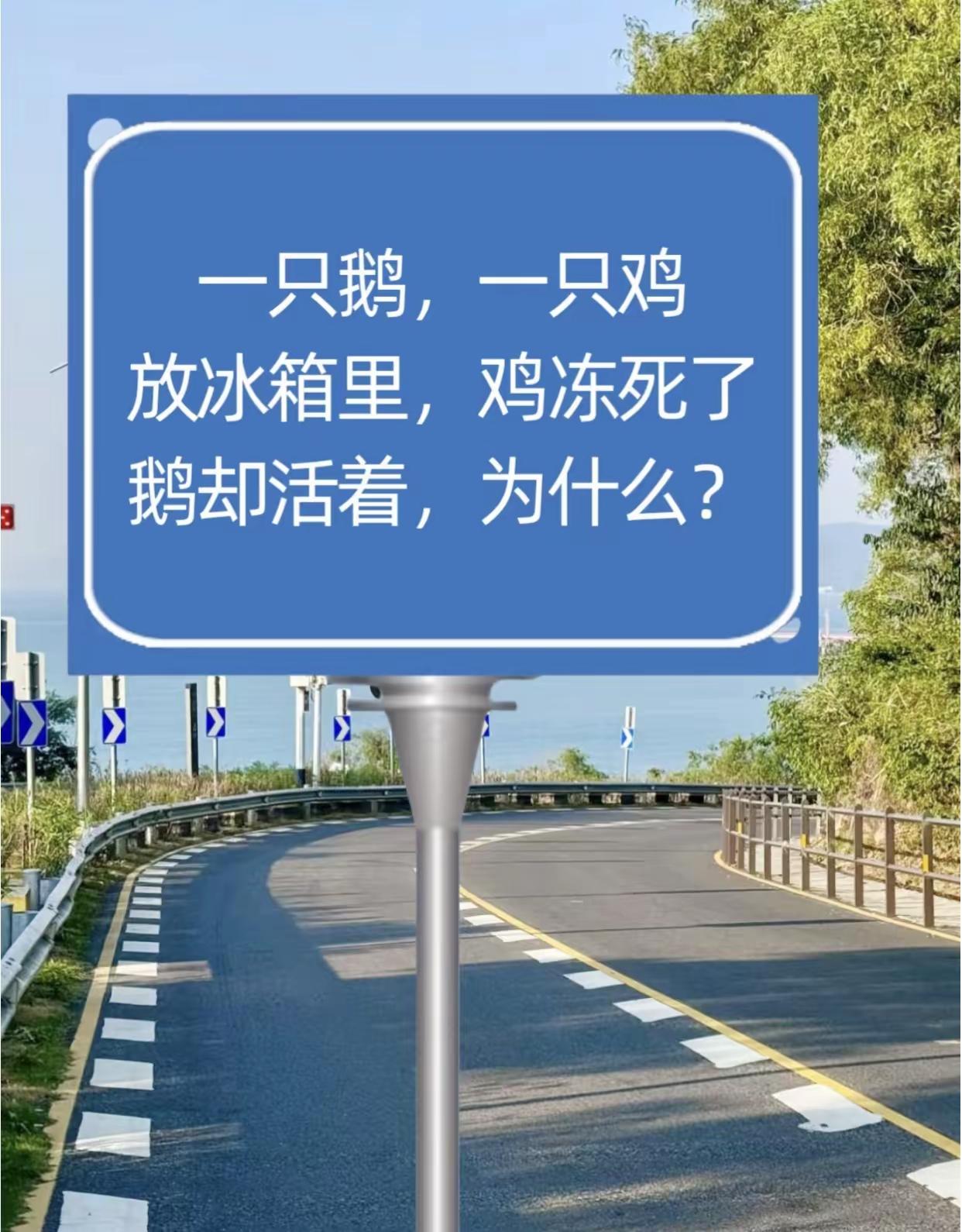 不懂就问，我想知道这是为啥呢？[捂脸哭][捂脸哭]