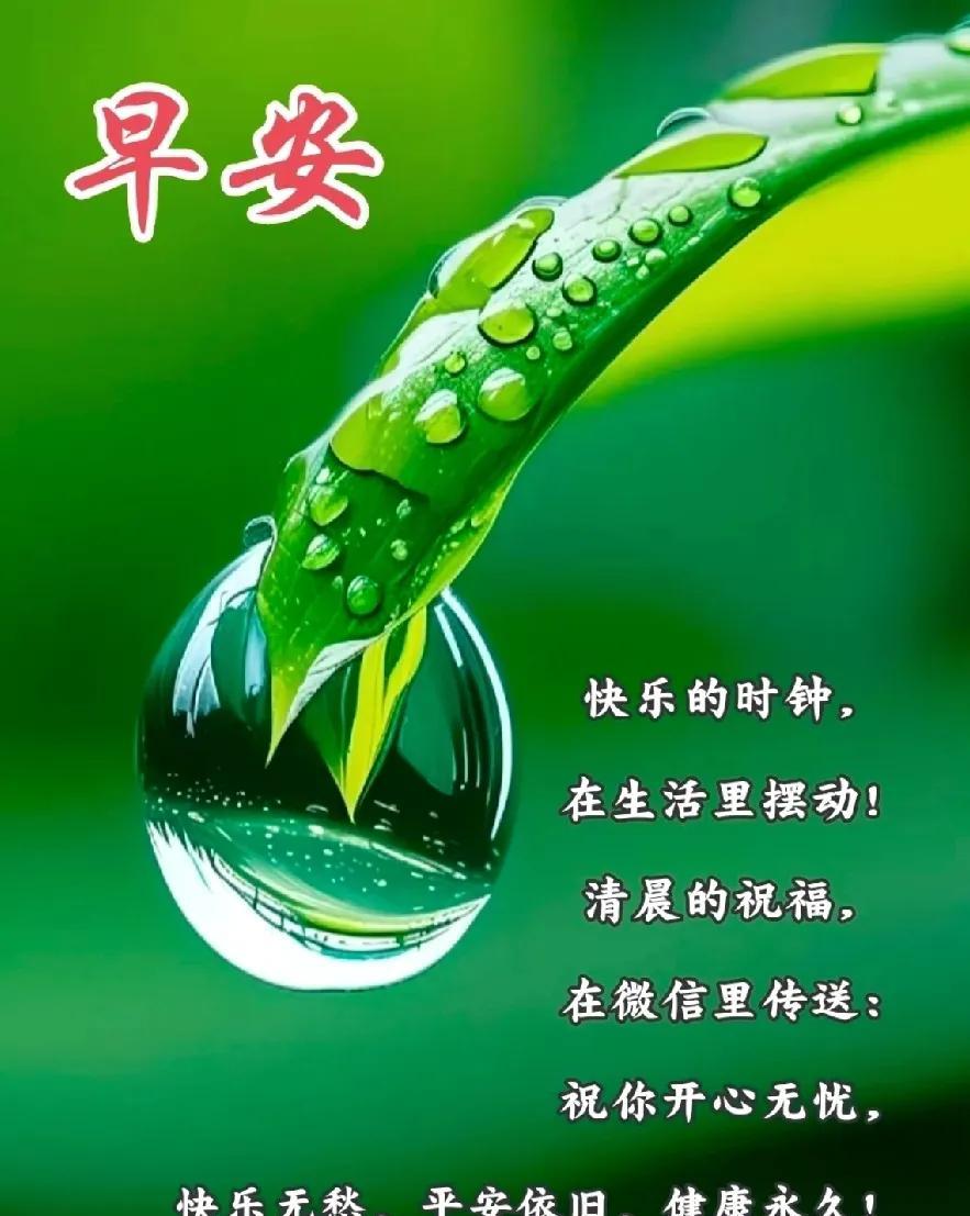 [玫瑰]早上好[玫瑰]快乐的时钟，在生活里摆动!清晨的祝福，在微信里传送