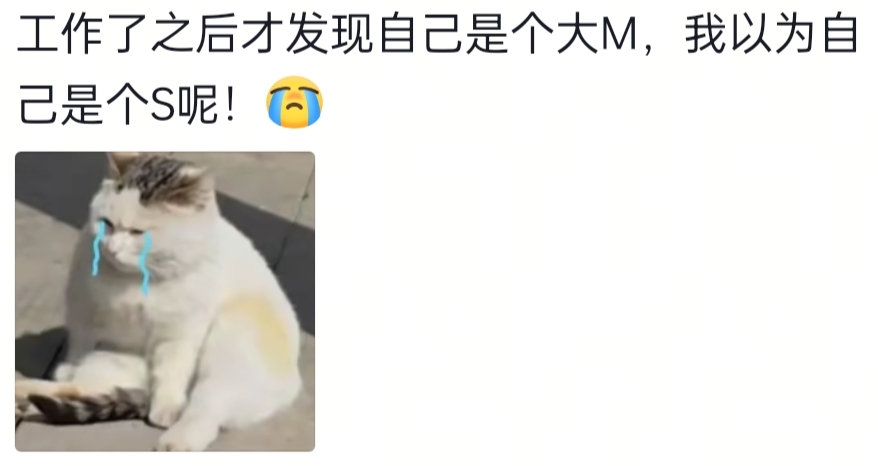我虽然是铁打的，但总遇见打铁的