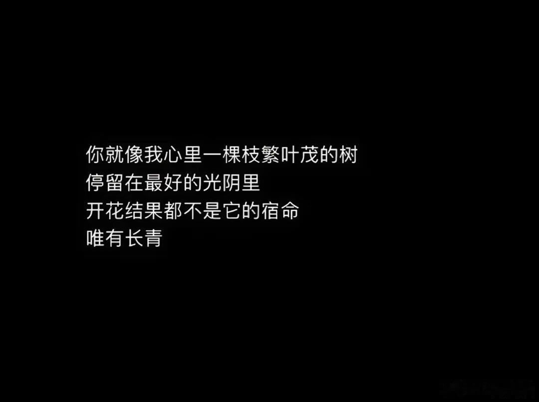 “浅尝辄止，是命运轻轻放过了你我”！！！