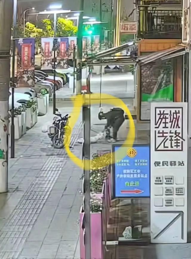 四川德阳曝出一桩让无数铲屎官揪心愤怒的事！一只懂事的柴犬，老老实实守在店铺门口等
