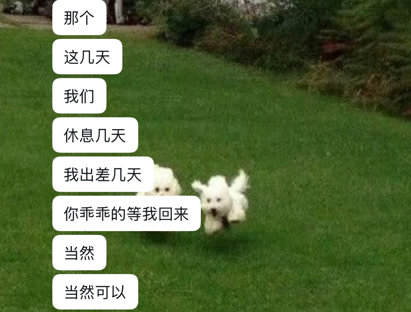 老板怎么可能虚那你躲我干嘛！