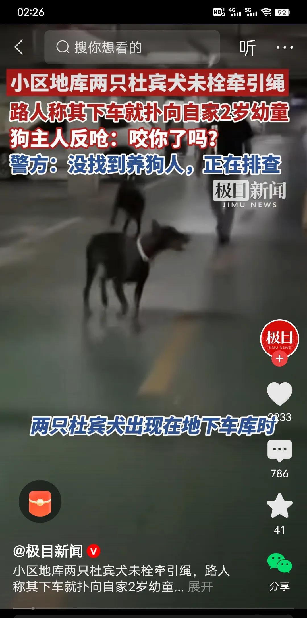 城市禁养狗刻不容缓两支杜宾犬未牵绳袭击两岁幼童，孩子家属当场与狗主人发生争执，