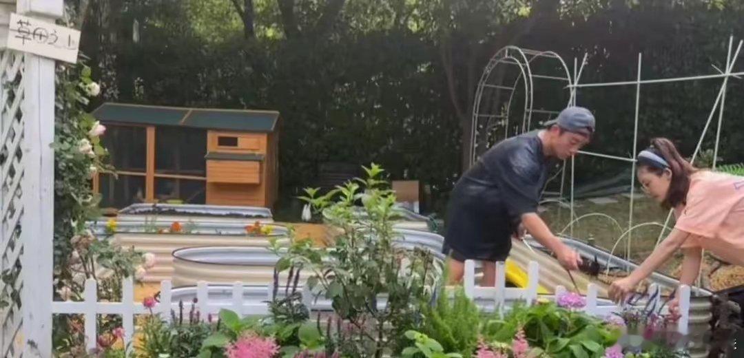 看见苗苗花三个月建好的菜园子才明白郑恺为何娶她：浪子也需要家​​​
