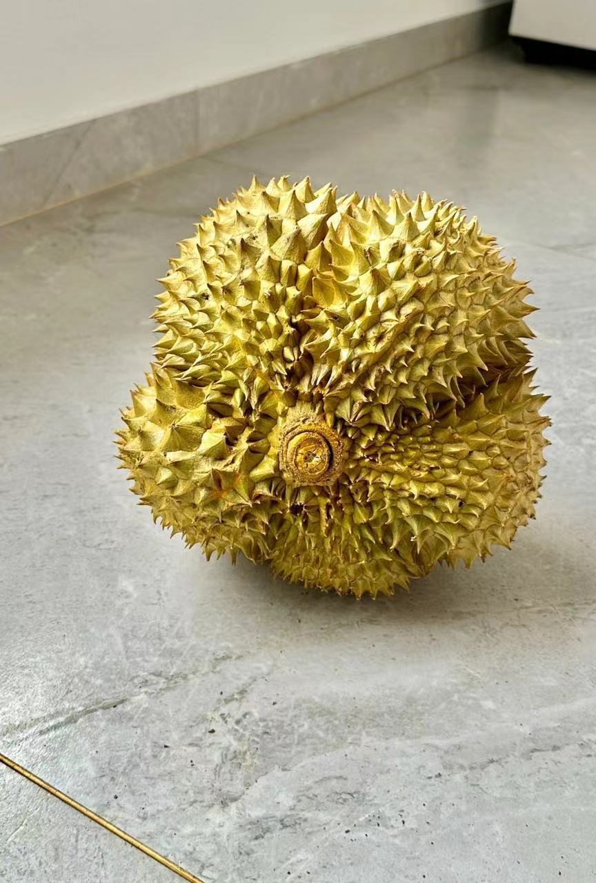 喂是水果反诈中心吗买了一个榴莲回来犒劳自己，看晚上都说榴莲有刺客，打开没有肉，