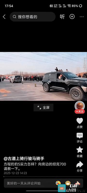 人少或少人之时，比亚迪方程豹豹5都是体弱多病的；人多或多人之时，比亚迪方程豹豹