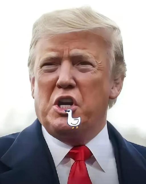 特朗普说,要不是尼克松“释放”中国,在外交上破冰,打开了中国的大门,现在也就不会