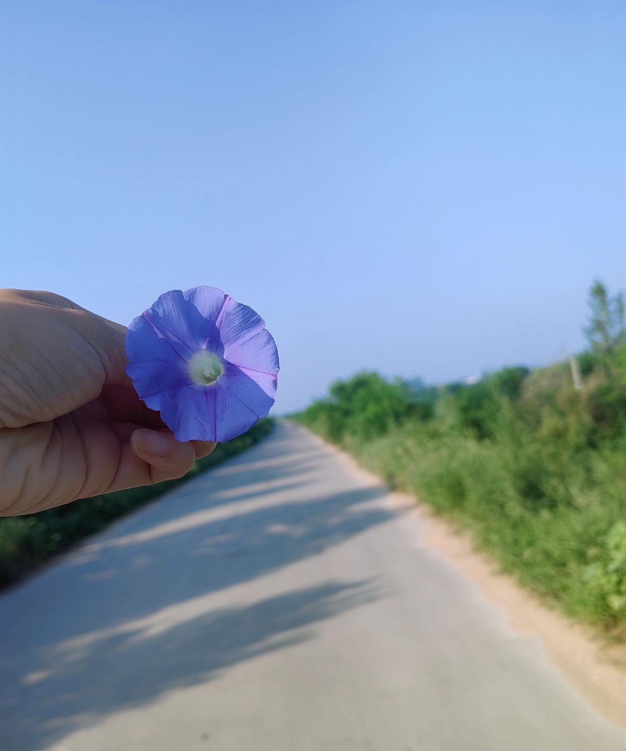 我正在刷碗时，老公毫无征兆的提出和我离婚，我慢慢的放下手中的碗，踌躇了几秒钟说那