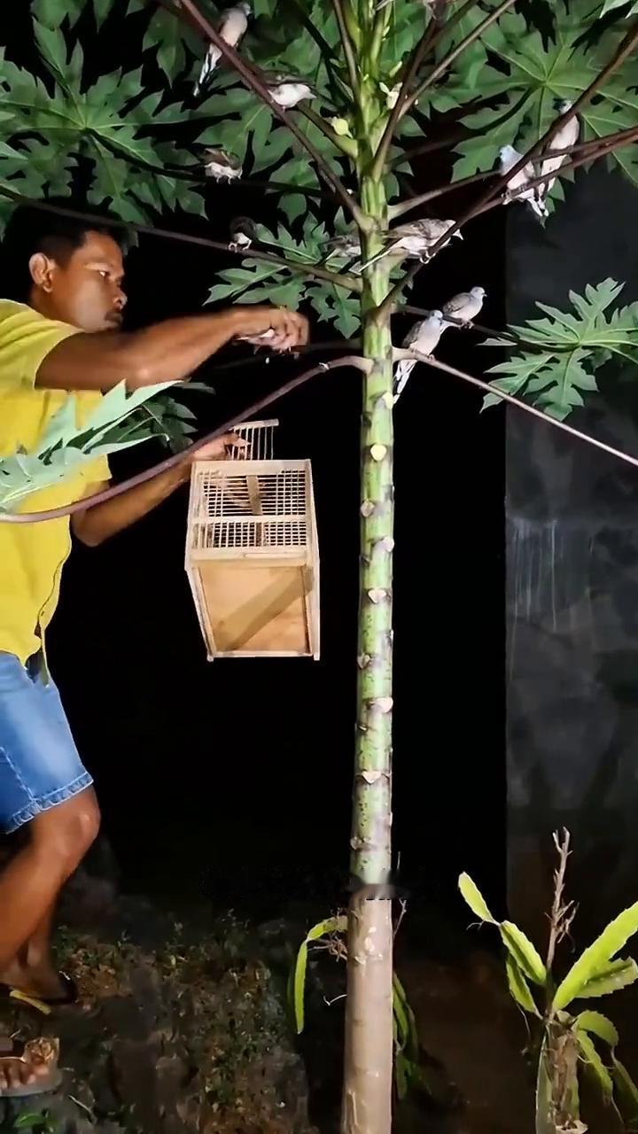 奇怪的小鸟。国外一名男子深夜不睡觉，鬼鬼祟祟端着盆子出来偷鸟。令人意想不到的是