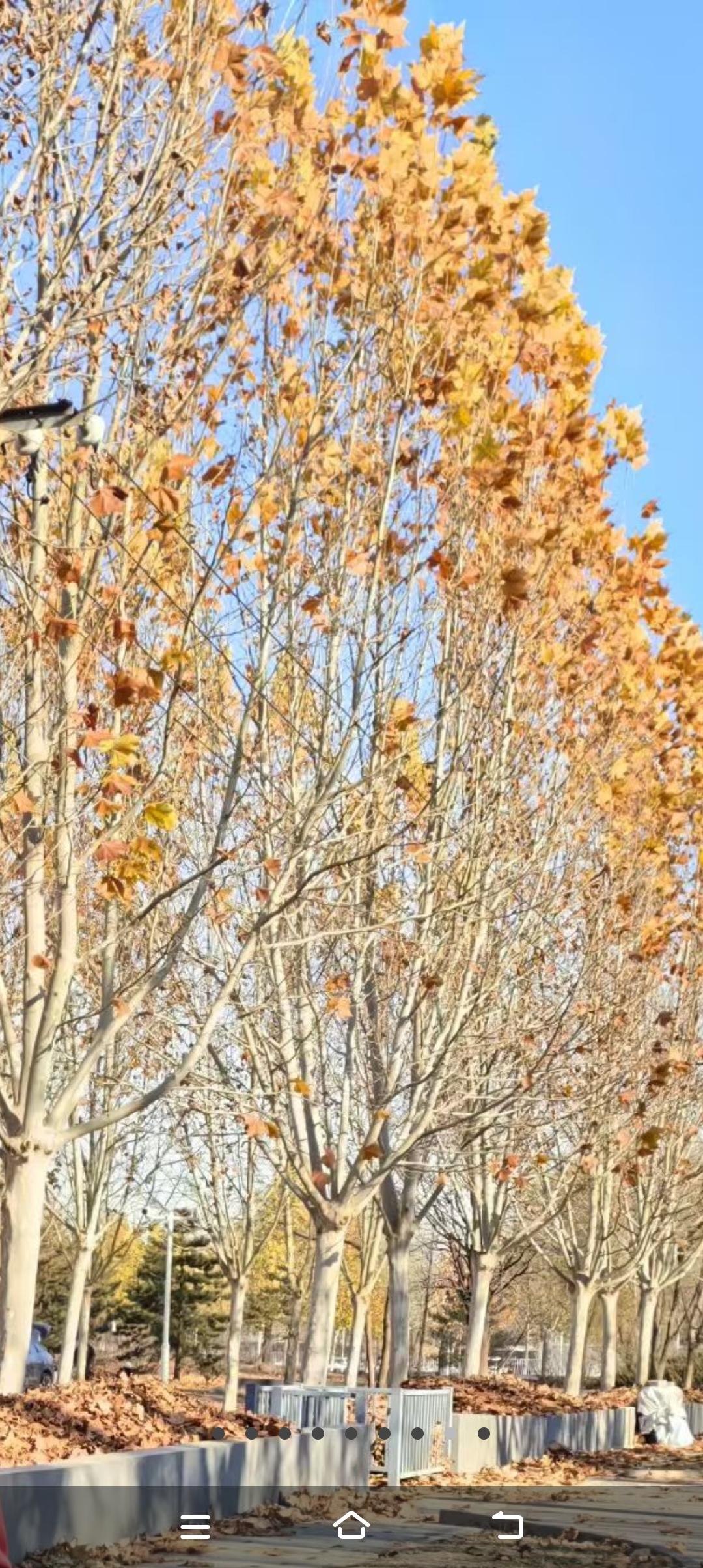 这个学校领导也真是太欠了！在大课间时间学校领导检查各班级学生上操情况，来到一