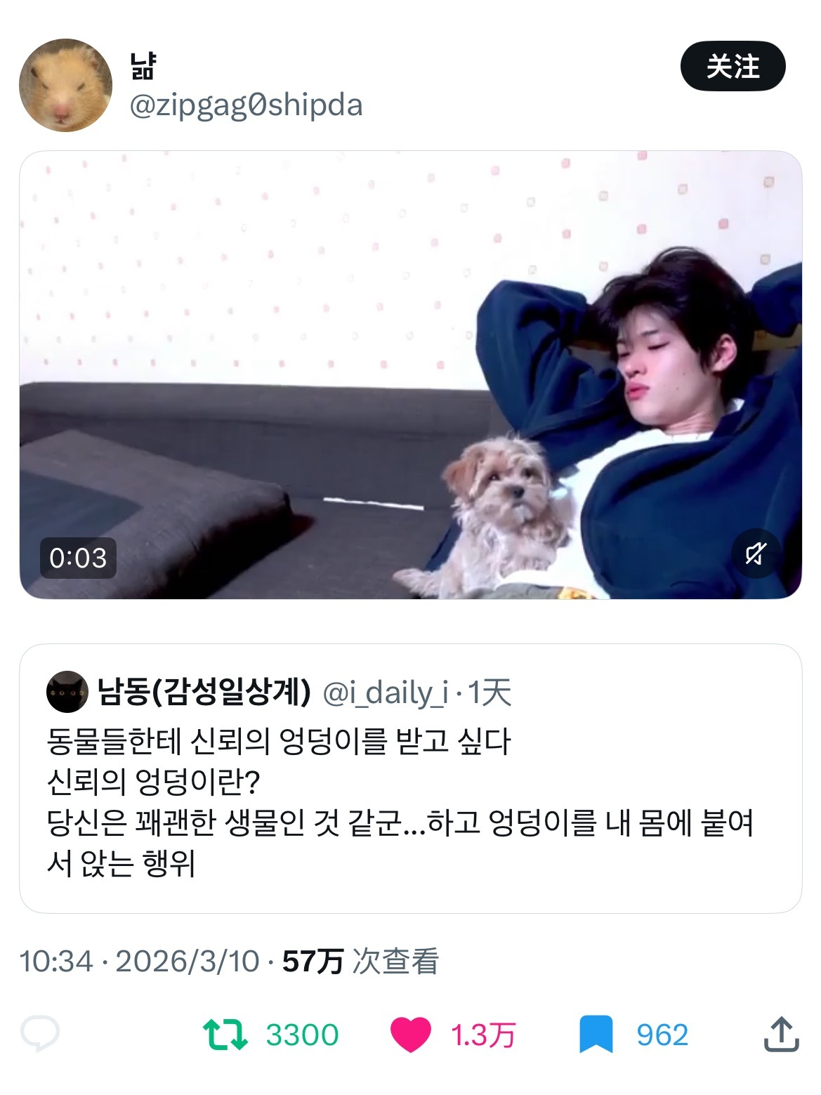 早上发晚上又万赞了，哆咪好棒棒