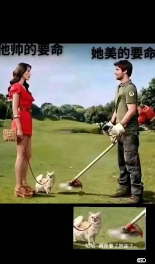 梗图一张图证明你是游戏玩家梗图莫名其妙击中笑点此图有梗我美丽的精神状态