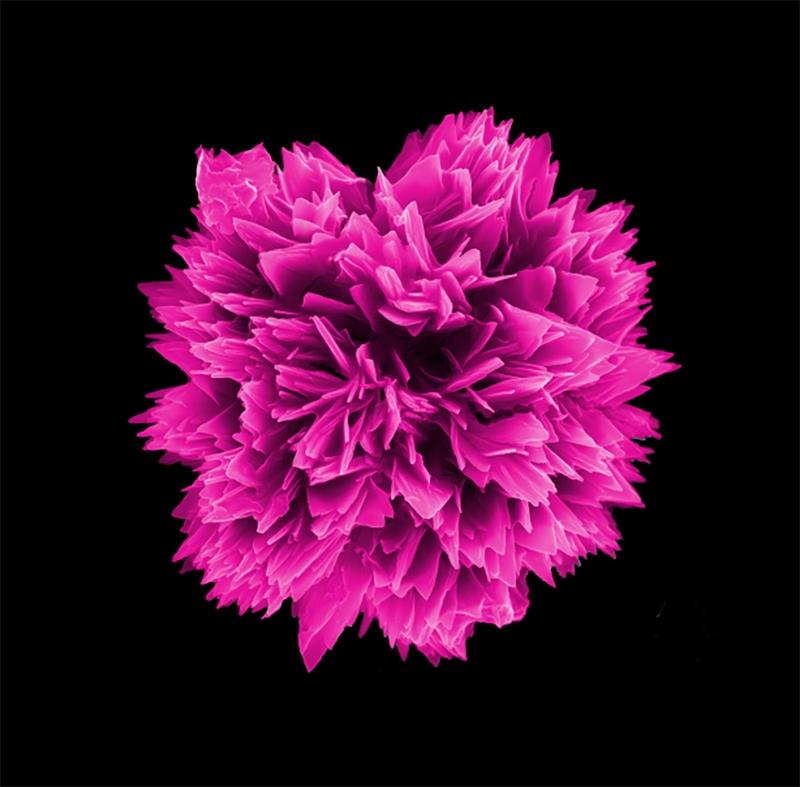 人最难悟透和看破的是什么?人最难悟透和看破的就是人性。就说悟透“自我”吧，很多