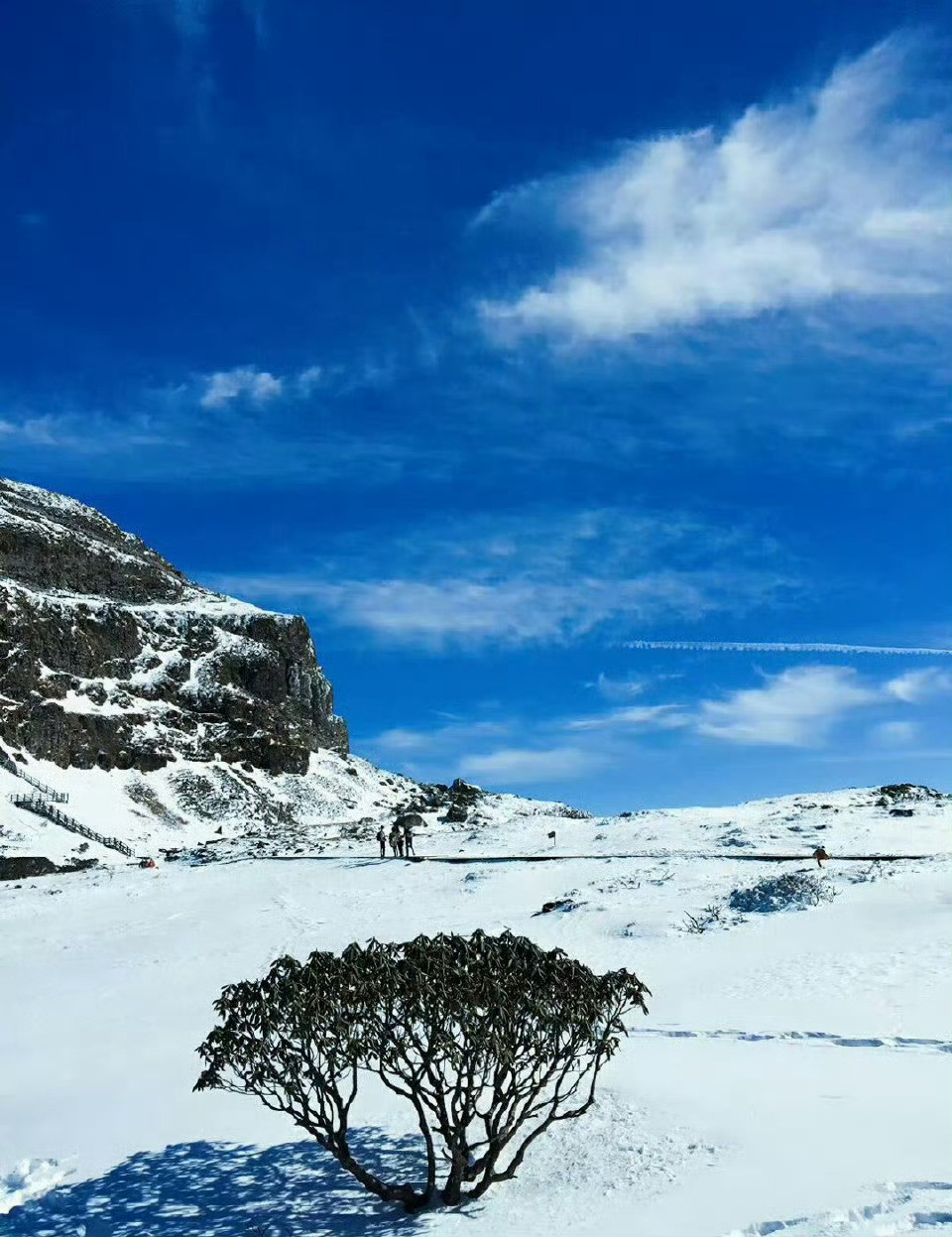 云南的轿子山，如同冰美人般楚楚动人，美成仙境。