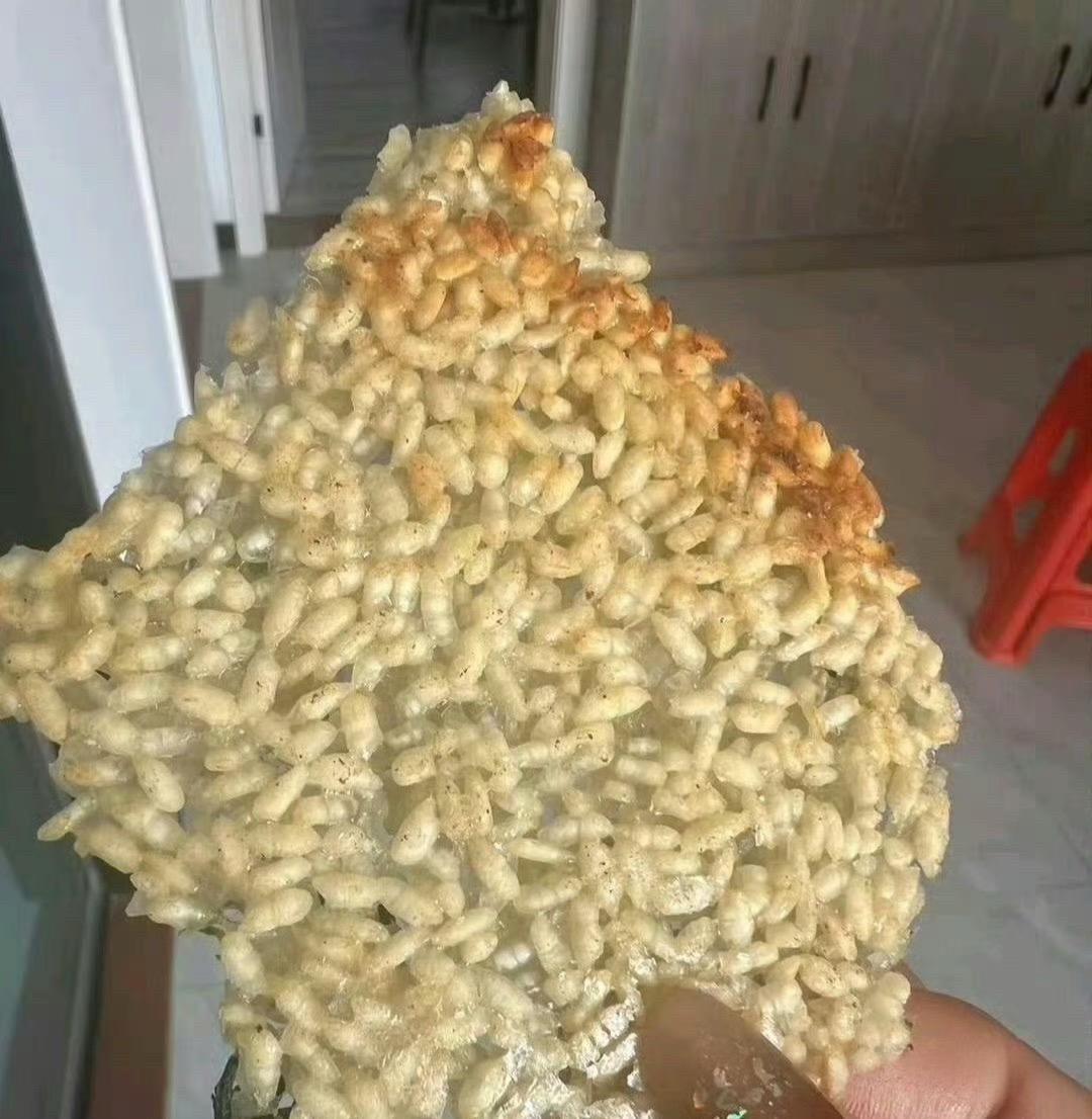 这个真的超级好吃