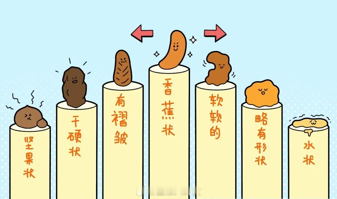 今天的💩达标了吗？​​​