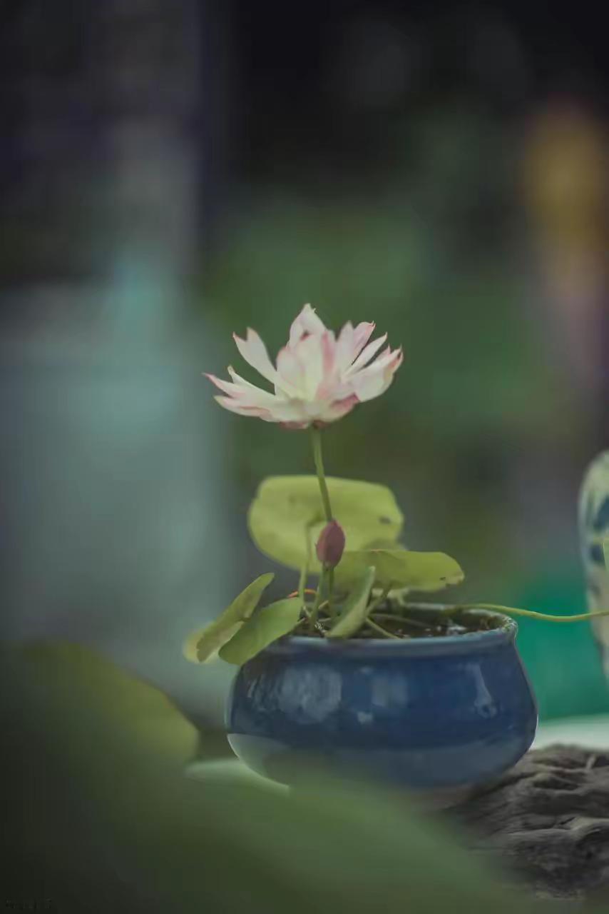 别管儿媳怎么做，记住这六句话，晚年不后悔。第一句：儿媳叫不叫妈，你都别想当亲