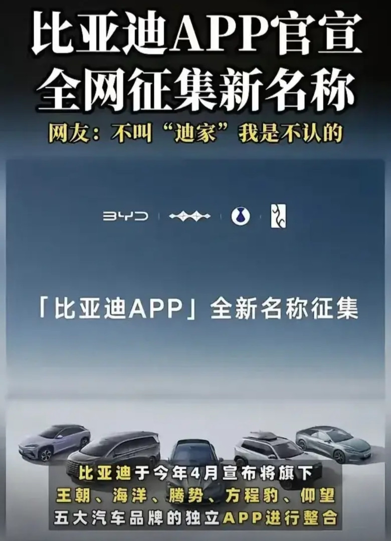 谁给比亚迪出的主意呢？这主意可真是高啊，简直是一举多得。比亚迪如今公开征集A