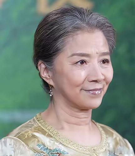 郑晓龙花7.2亿翻拍《红楼梦》，横店又起了一座大观园，服化道听说很考究，曹翠芬、