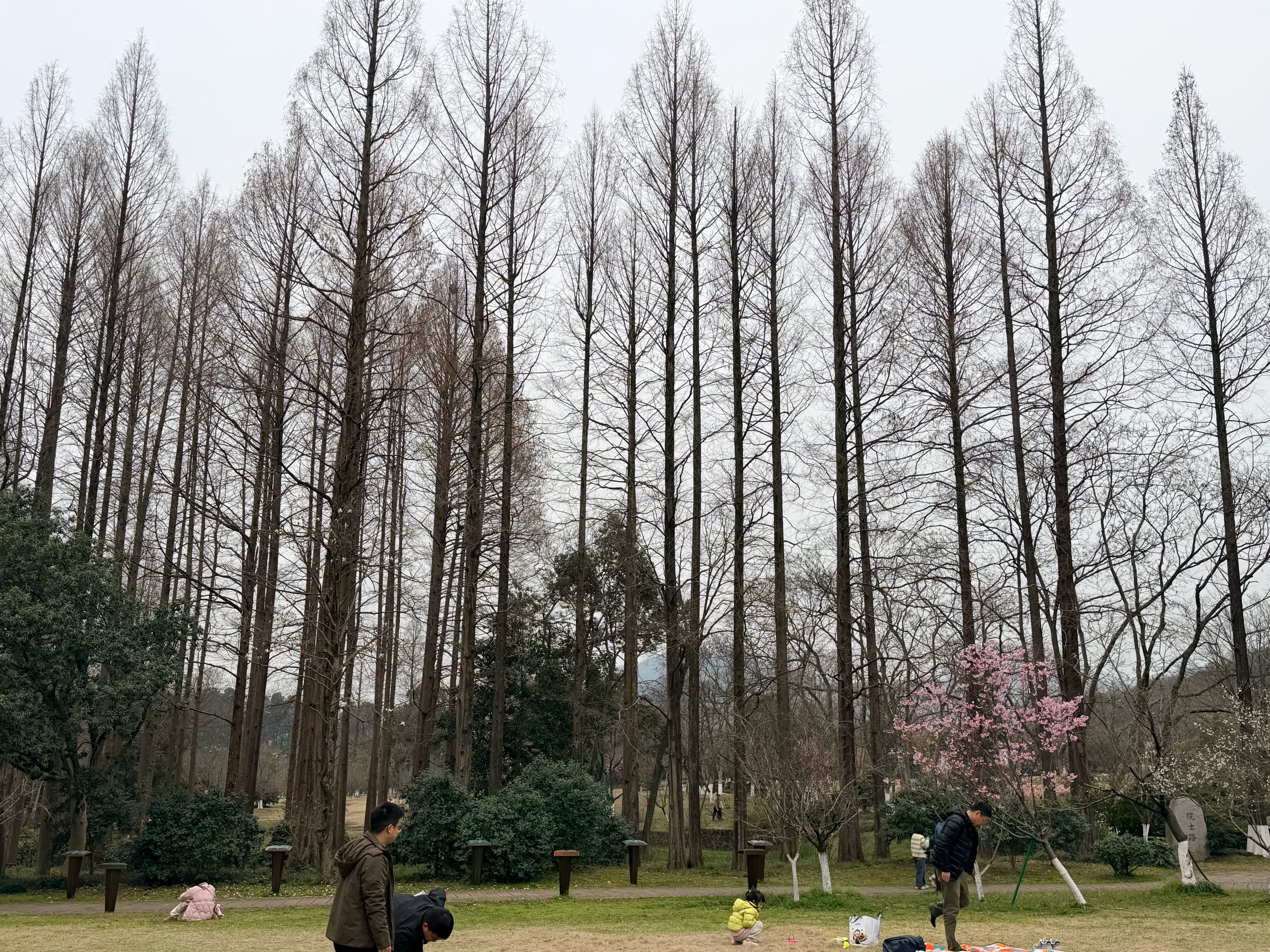 刚刚有个同事说买车，想看看M6，就图一个智驾好？说智驾就华为和特斯拉好，还知道1