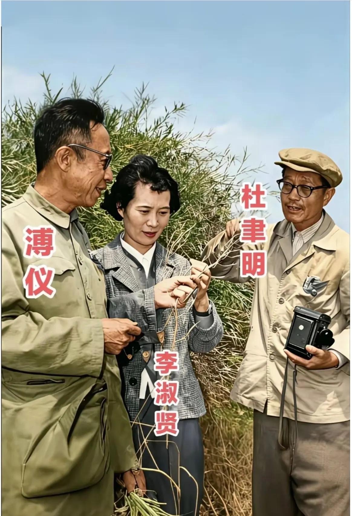 1964年，杜聿明与溥仪、李淑贤夫妇在杭州游玩时，留下的一张合影，数年前两人都还