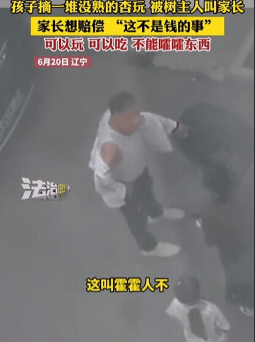 辽宁，女孩看到一颗杏树，好奇摘下一堆玩，不料，树主人发现后，竟然叫来女孩家长，当