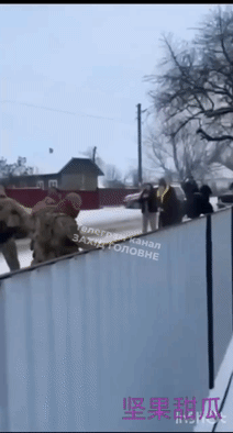 动真家伙了，在乌克兰切尔诺夫策州马马雷加村，一群征兵办小子开着面包车进入村庄，强