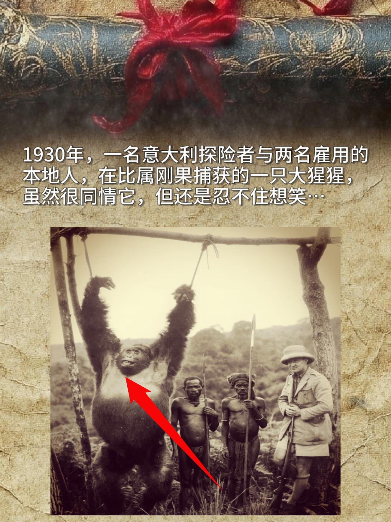 分享一个有点特别的旧闻：1930年的时候，有位意大利探险者带着两个本地...