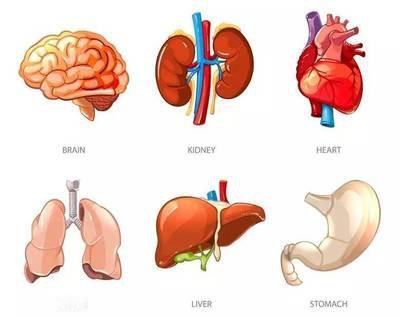 很多人总觉得“干”：嘴唇裂、喉咙干、鼻子结痂、眼睛涩、舌头燥，刚喝进去就没了