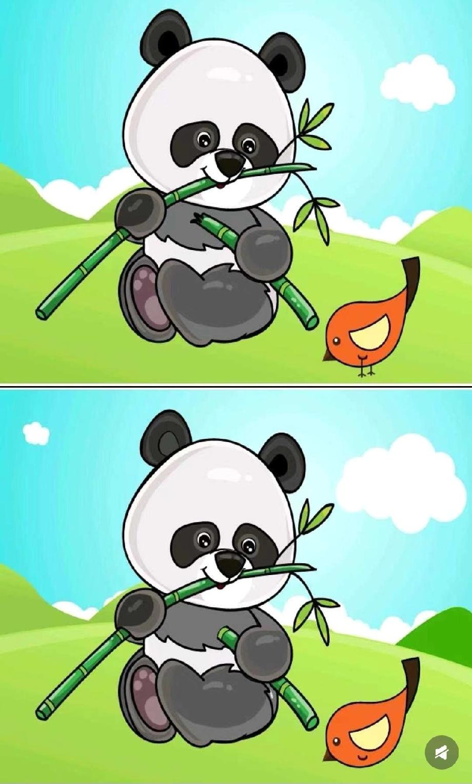 这熊猫图的不同处也太隐蔽了！我盯了3分钟只找到1处，据说眼尖的人10秒就能全发现