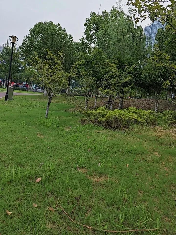 人过45岁务必清醒！中老年90%常见病，不是老了，是不懂保命作为养生专家，