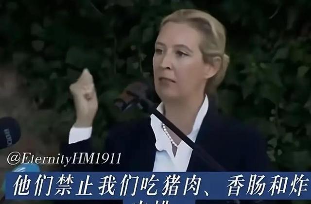 德国真的彻底怒了！魏德尔公开谴责警告想反客为主的中东移民：他们禁止我们吃猪肉、香